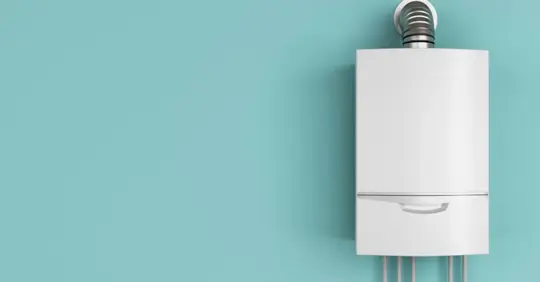 Tankless water heater