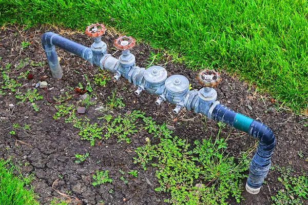 Backflow Services